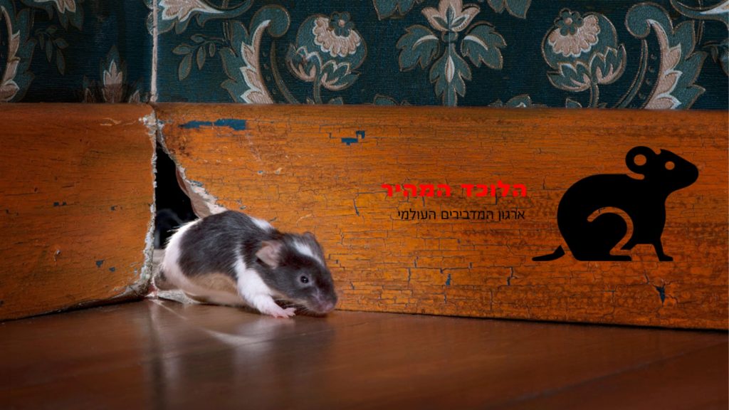 הלוכד המהיר