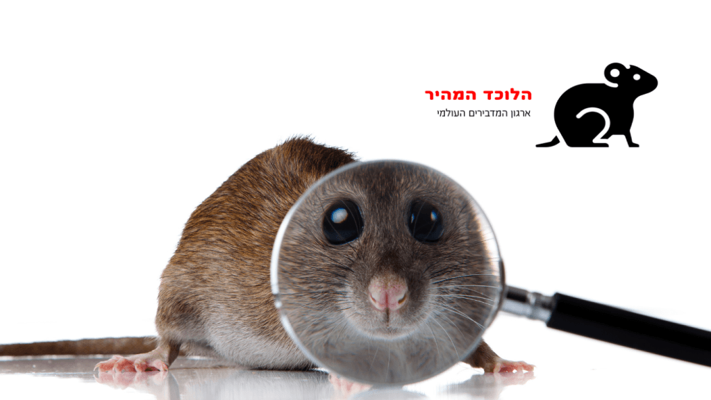 הדברת חולדות