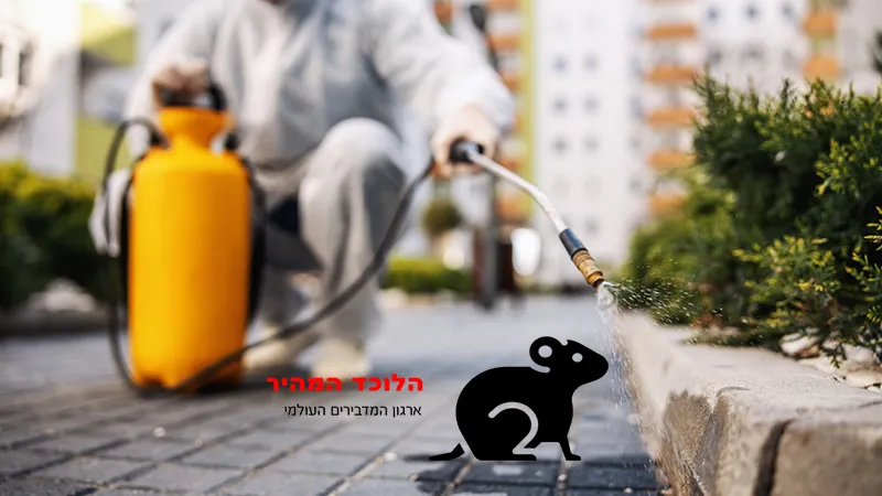 מדבירים מומלצים